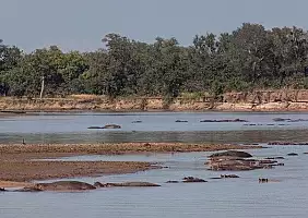 turistipercaso zambia-ze5hf