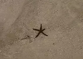 turistipercaso zanzibar-118qs