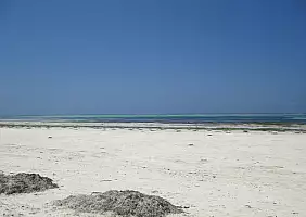 turistipercaso zanzibar-esqa4