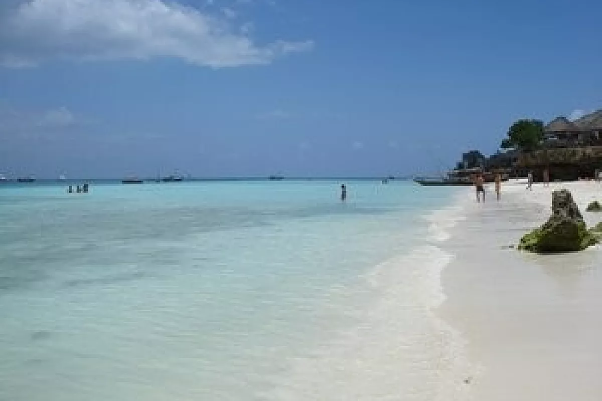 Zanzibar, l’isola delle spezie! 4