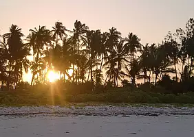 turistipercaso zanzibar-tkr62