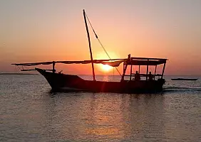 turistipercaso zanzibar-v2kj6