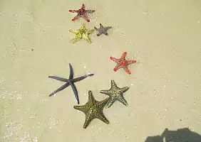 turistipercaso zanzibar-wpbgn