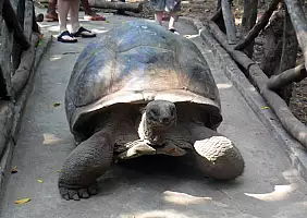 turistipercaso zanzibar-xyyws