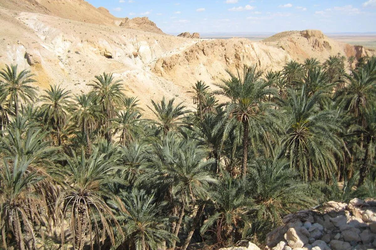 Djerba: semplicemente bellissima