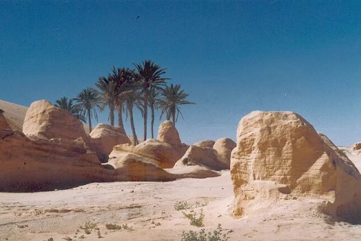Tunisia1: Inverno a 13 €/g o Del turismo stanziale