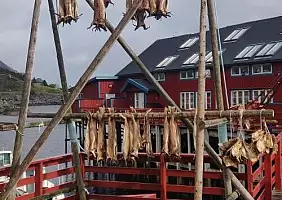 turistipercaso Viaggio in Norvegia