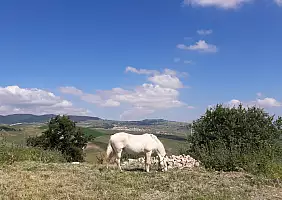 turistipercaso 20170516_102328