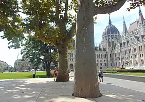 turistipercaso 5 giorni budapest