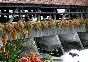turistipercaso SVZ101