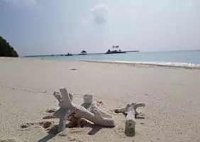 turistipercaso 20211218_093432