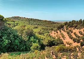 turistipercaso B4AFB1BD_FDEF_434B_A0C2_C2071D124322