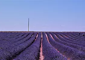 turistipercaso provenza Valensole