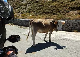 turistipercaso MONTE_SPADA