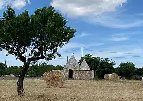 turistipercaso Puglia_1