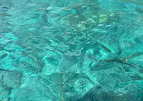 turistipercaso Schermata_2022_02_01_alle_11.14.23