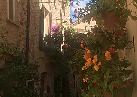 turistipercaso WhatsApp_Image_2022_02_23_at_13.04.30
