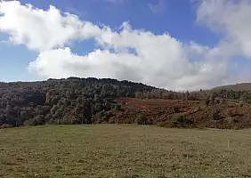 turistipercaso Bosco_Malabotta