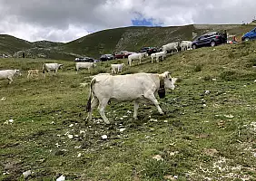 turistipercaso Campo_Imperatore_2_