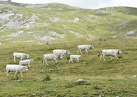turistipercaso Campo_Imperatore_3_
