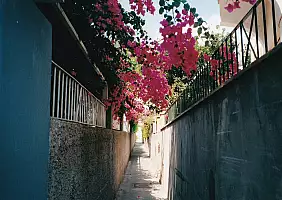 turistipercaso FioriCapribis