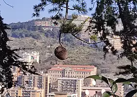 turistipercaso IMG_20220212_111649