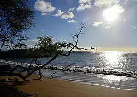 turistipercaso Maui_2