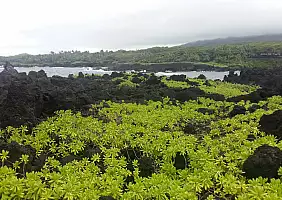 turistipercaso Maui_4