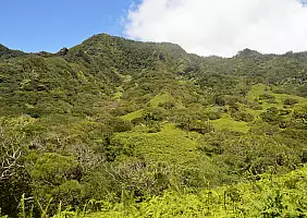 turistipercaso Oahu_6