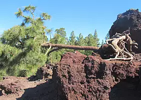 turistipercaso PARQUE_NACIONAL_DEL_TEIDE