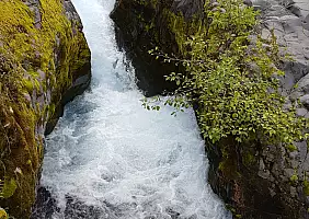 turistipercaso WA_4