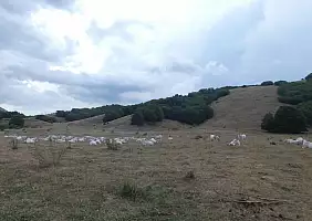 turistipercaso camminando_verso_il_rifugio_della_cicerana