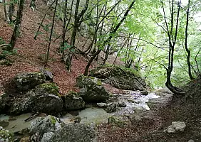 turistipercaso camosciara