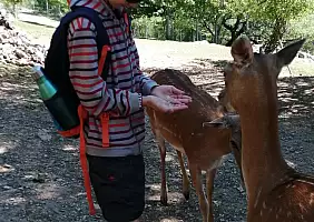 turistipercaso centro_visita_daini