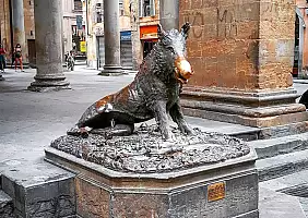 turistipercaso cinghiale