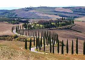 turistipercaso cipressi2