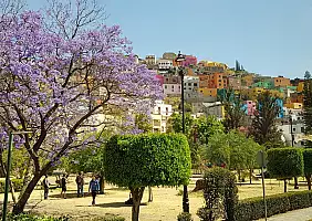 turistipercaso copertina