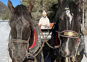 turistipercaso f