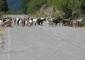 turistipercaso sulla_strada...
