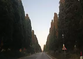 turistipercaso viale_per_Bolgheri