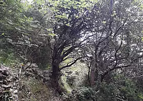 turistipercaso 20210510_170950