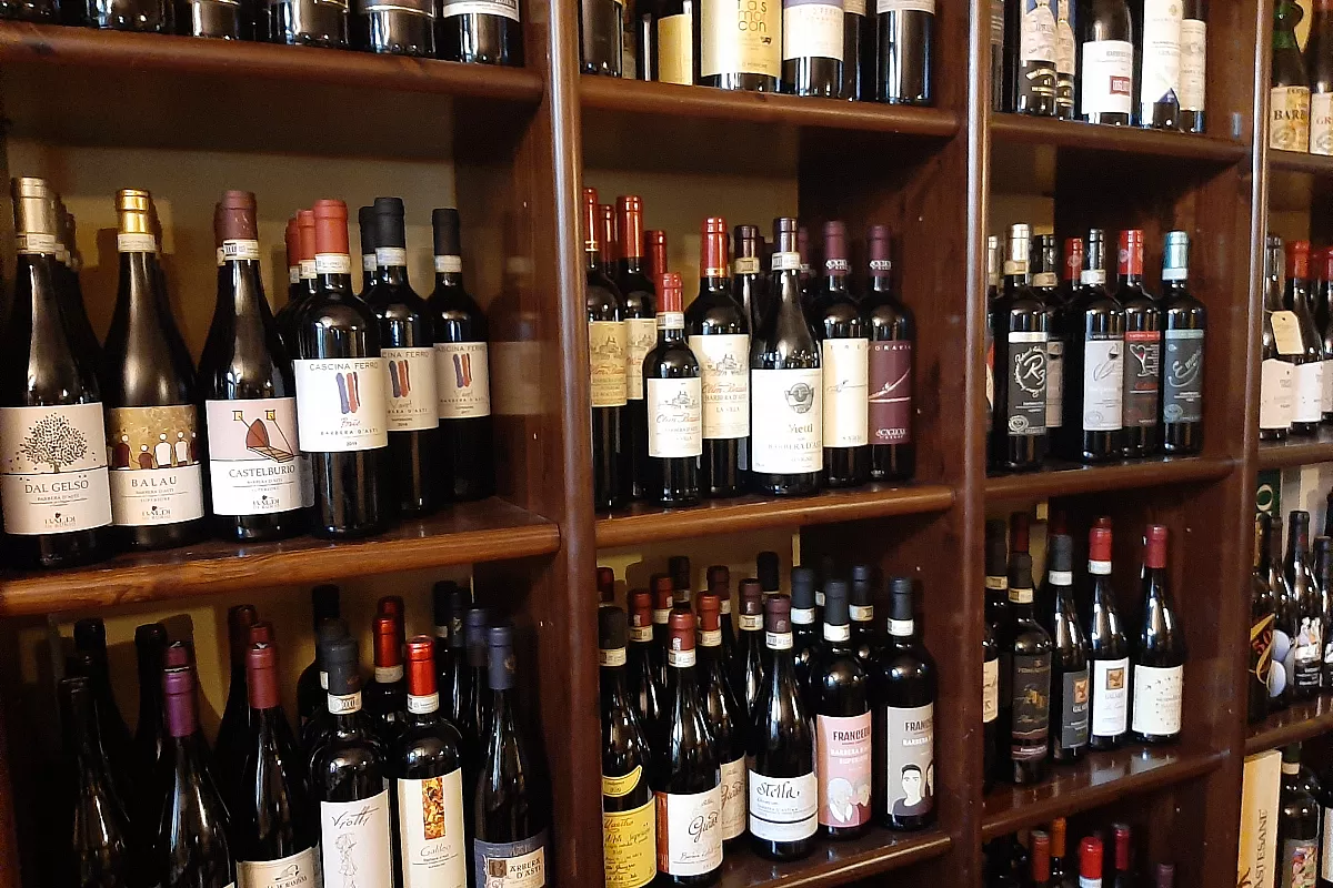 Langhe, vini
