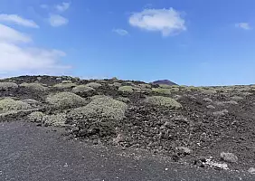 turistipercaso 20220502_152208