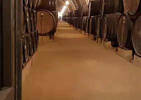 turistipercaso 20220507_113616