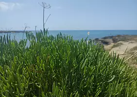 turistipercaso Cr_timi