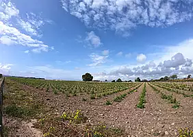 turistipercaso IMG_20220510_WA0049