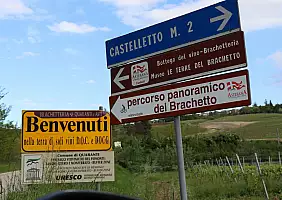 turistipercaso IMG_2035
