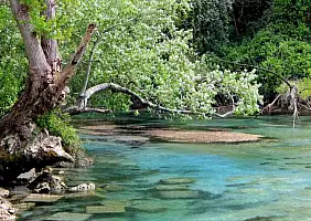 turistipercaso Senza_nomejyiu
