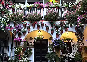 turistipercaso festival_dei_Patios_a_Cordova