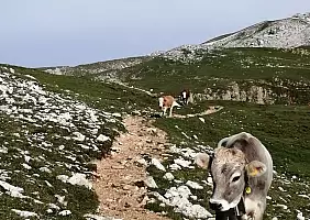 turistipercaso 11_Il_traffico_dell_ora_di_punta